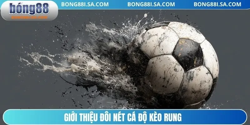 Giới thiệu đôi nét cá độ kèo rung